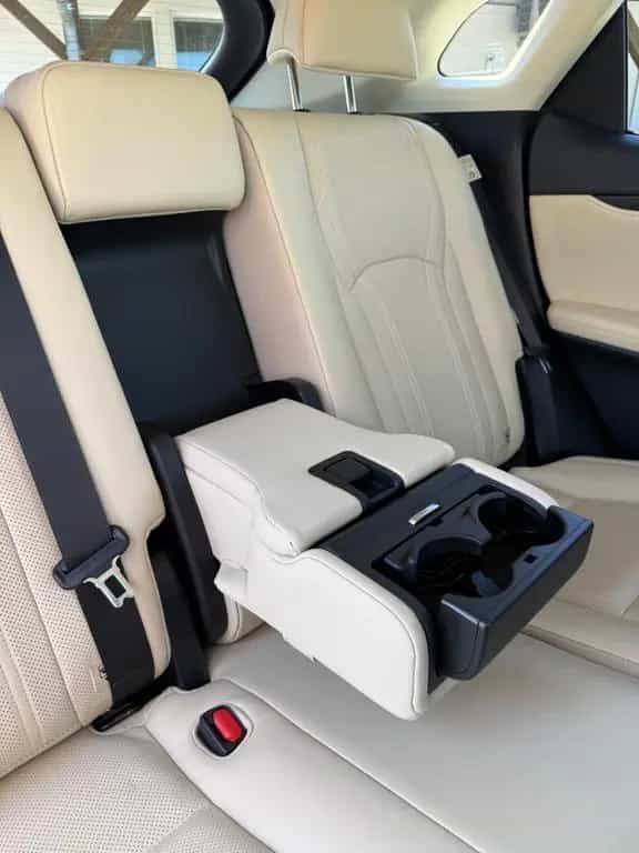 Lexus RX 300 01/2023-photo-10