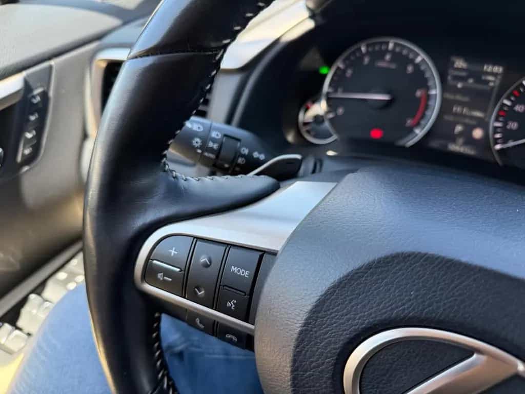 Lexus RX 300 01/2023-photo-14