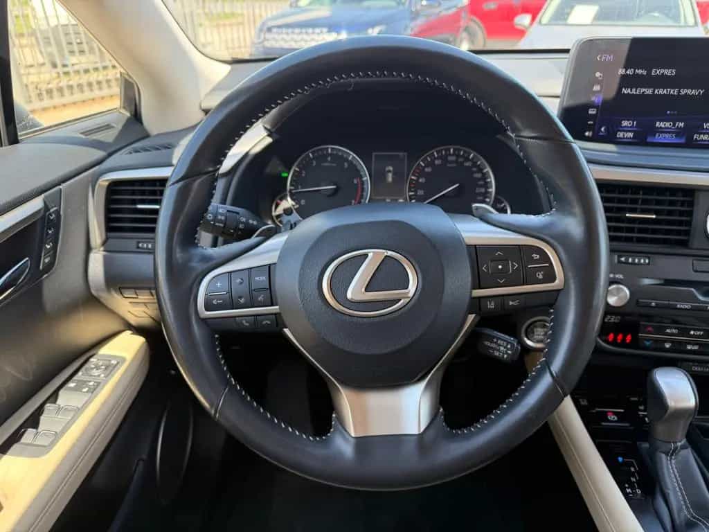 Lexus RX 300 01/2023-photo-15