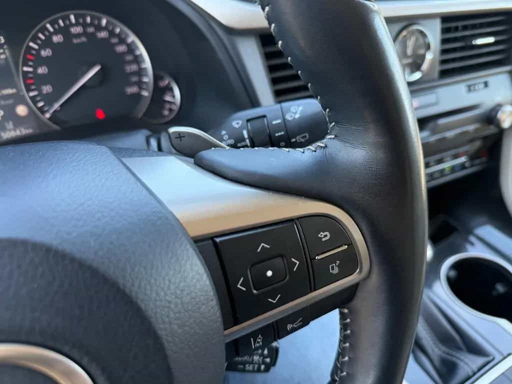 Lexus RX 300 01/2023-photo-16