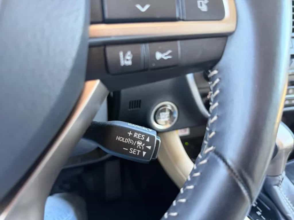 Lexus RX 300 01/2023-photo-17