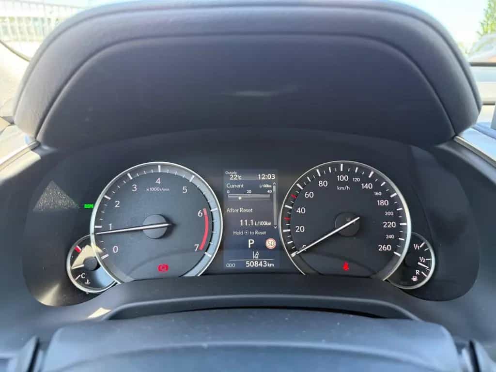 Lexus RX 300 01/2023-photo-18