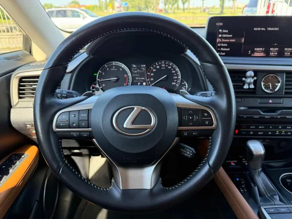 Lexus RX 300 10/2022-photo-15