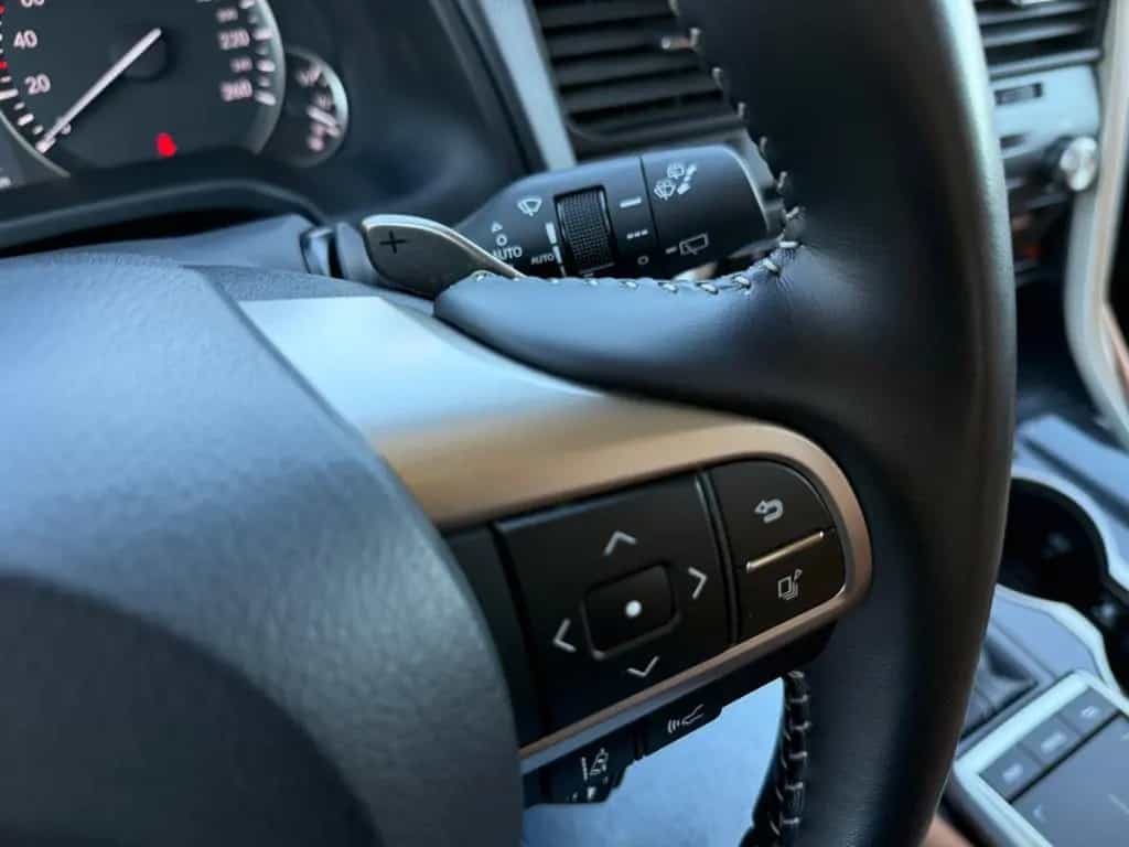 Lexus RX 300 10/2022-photo-16