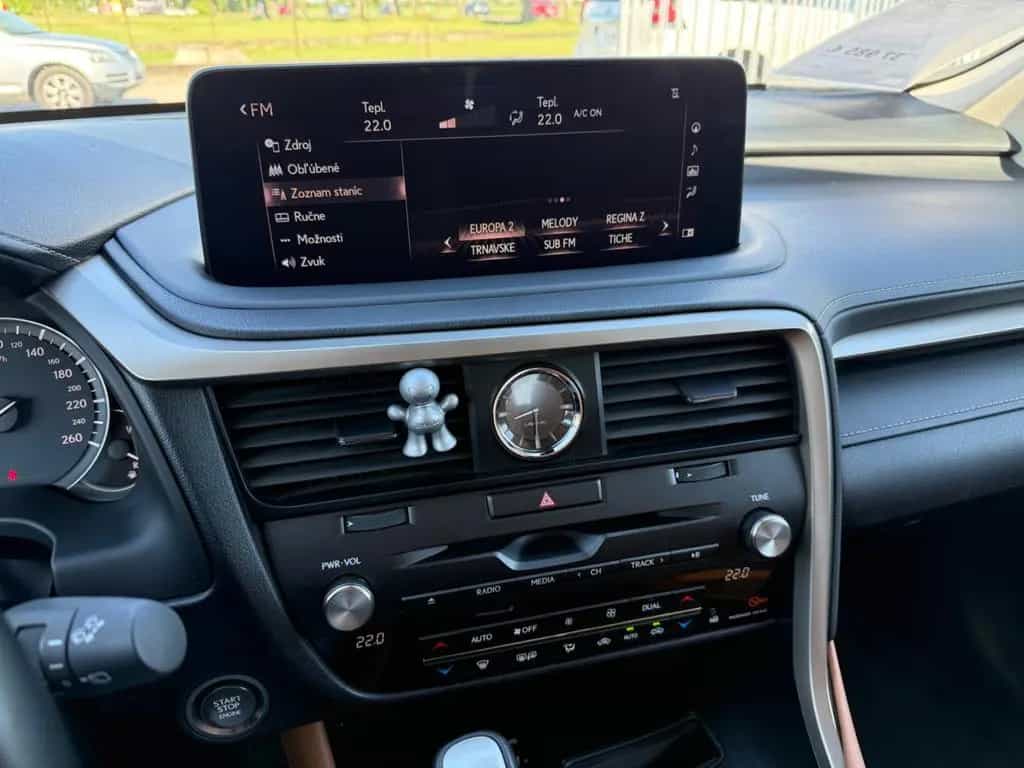 Lexus RX 300 10/2022-photo-19