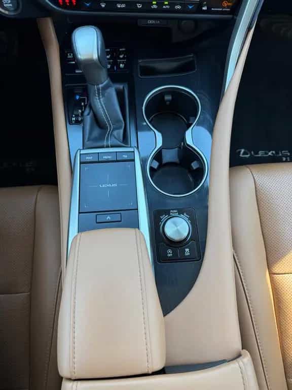 Lexus RX 300 10/2022-photo-23
