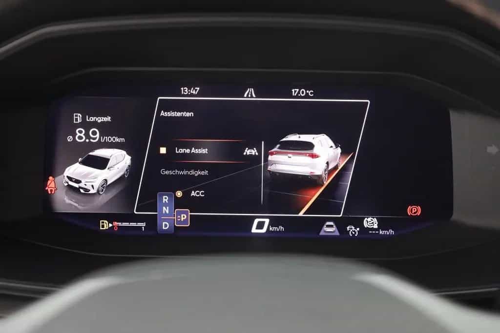 Cupra Formentor 2.0 TSI DSG VZ LED Navi Kamera PDC ACC 04/2022-photo-16