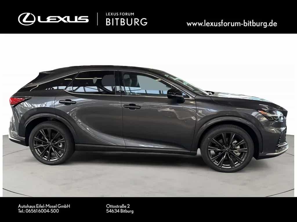 Lexus RX 350 h E-Four F Sport Design Panorama 15 Jahre null-photo-1