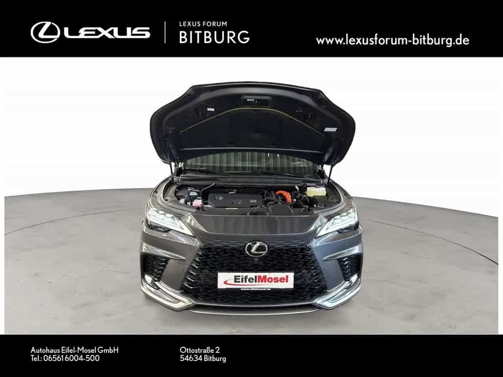 Lexus RX 350 h E-Four F Sport Design Panorama 15 Jahre null-photo-11