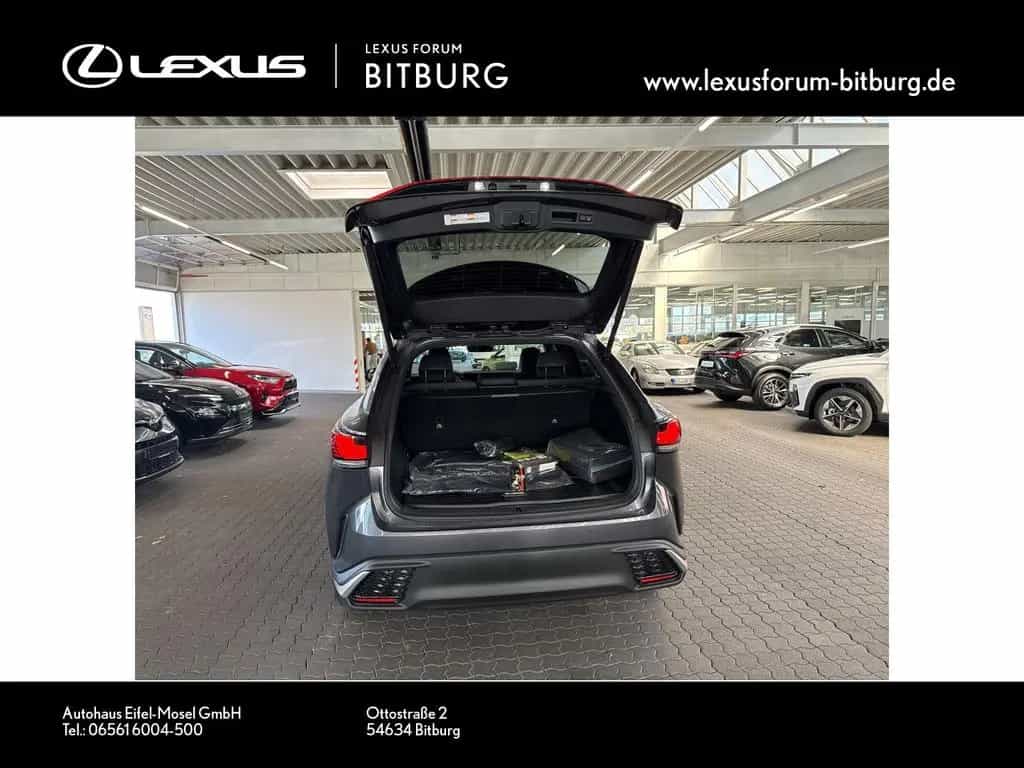 Lexus RX 350 h E-Four F Sport Design Panorama 15 Jahre null-photo-12