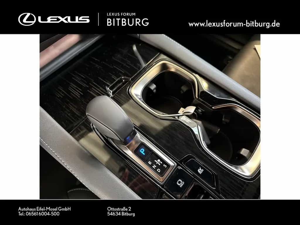 Lexus RX 350 h E-Four F Sport Design Panorama 15 Jahre null-photo-16