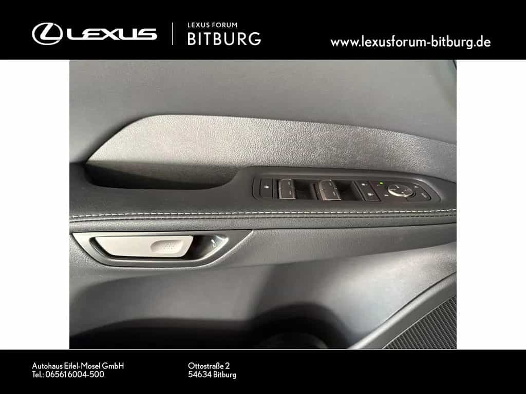 Lexus RX 350 h E-Four F Sport Design Panorama 15 Jahre null-photo-17