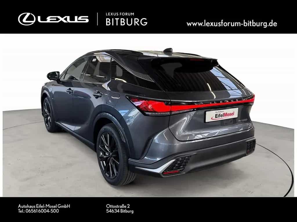 Lexus RX 350 h E-Four F Sport Design Panorama 15 Jahre null-photo-2