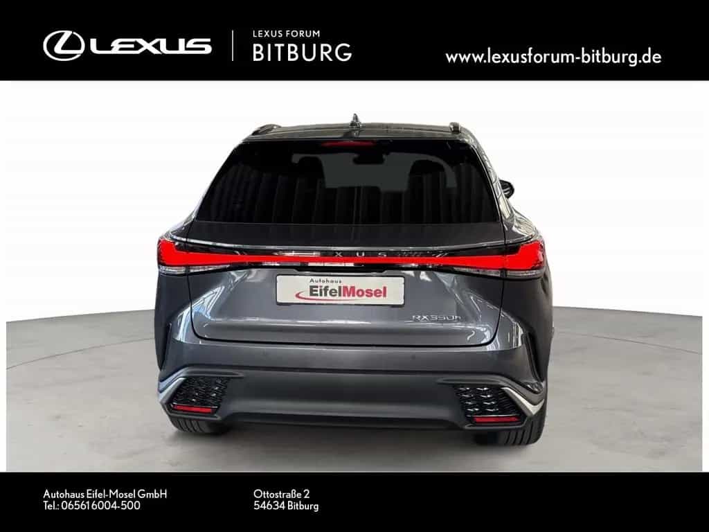 Lexus RX 350 h E-Four F Sport Design Panorama 15 Jahre null-photo-3