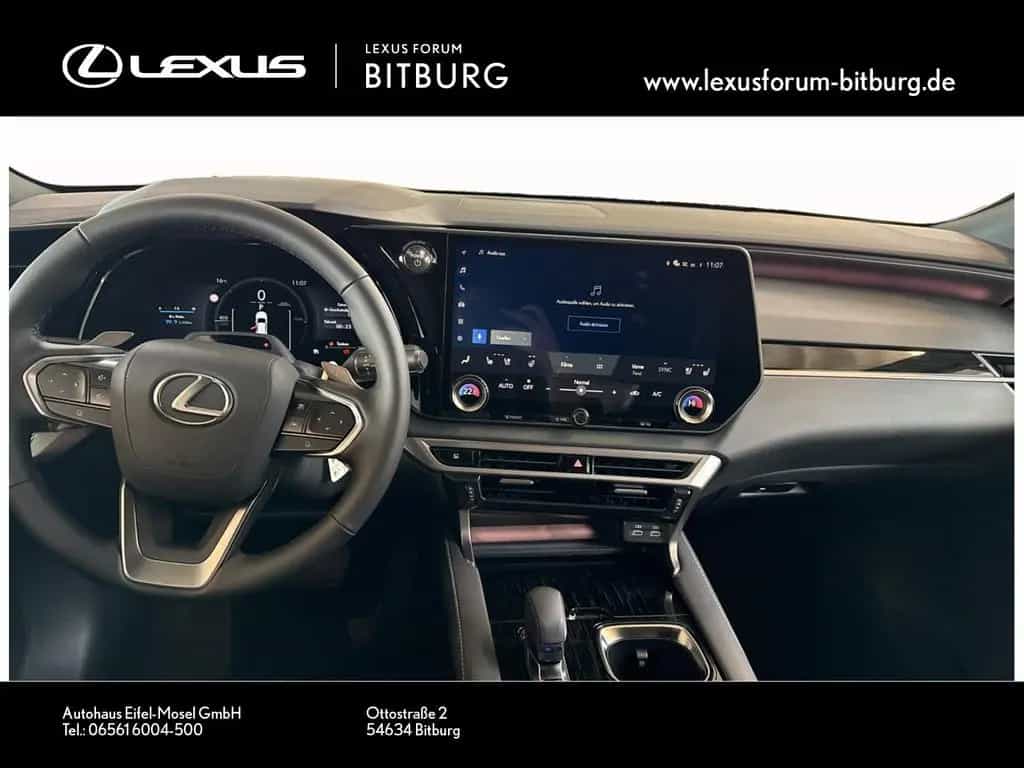 Lexus RX 350 h E-Four F Sport Design Panorama 15 Jahre null-photo-6