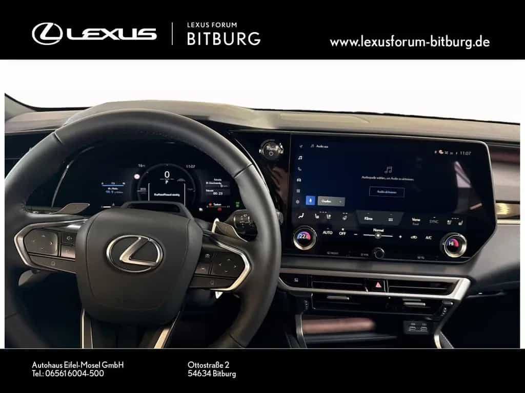 Lexus RX 350 h E-Four F Sport Design Panorama 15 Jahre null-photo-7