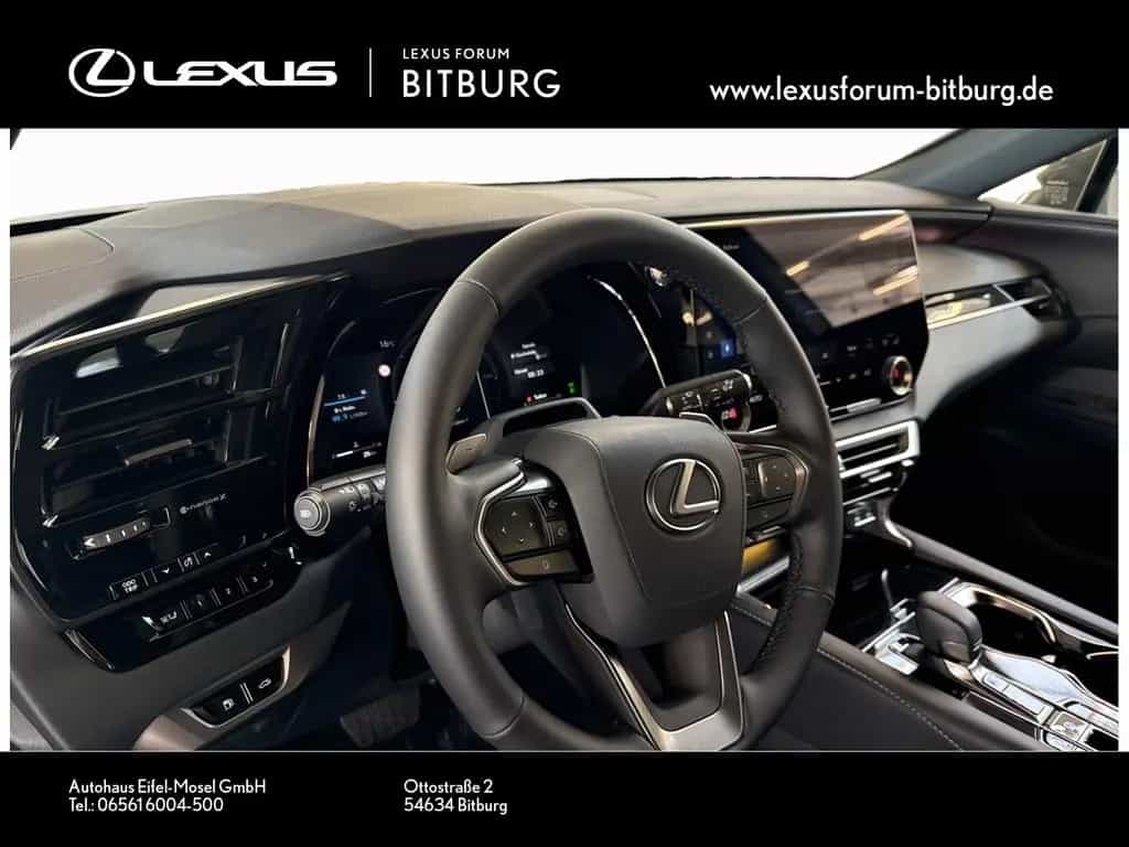 Lexus RX 350 h E-Four F Sport Design Panorama 15 Jahre null-photo-8
