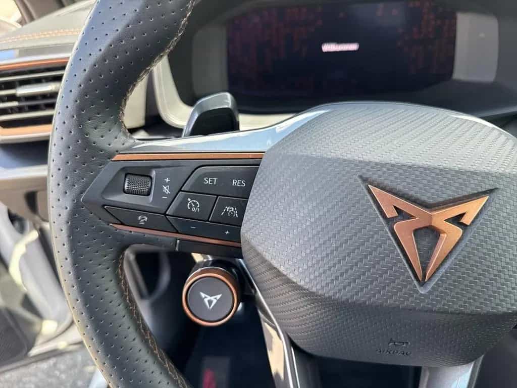 Cupra Formentor 2.0 TSI VZ 4Drive ACC+SHZ+NAVI+KAMERA 05/2024-photo-21