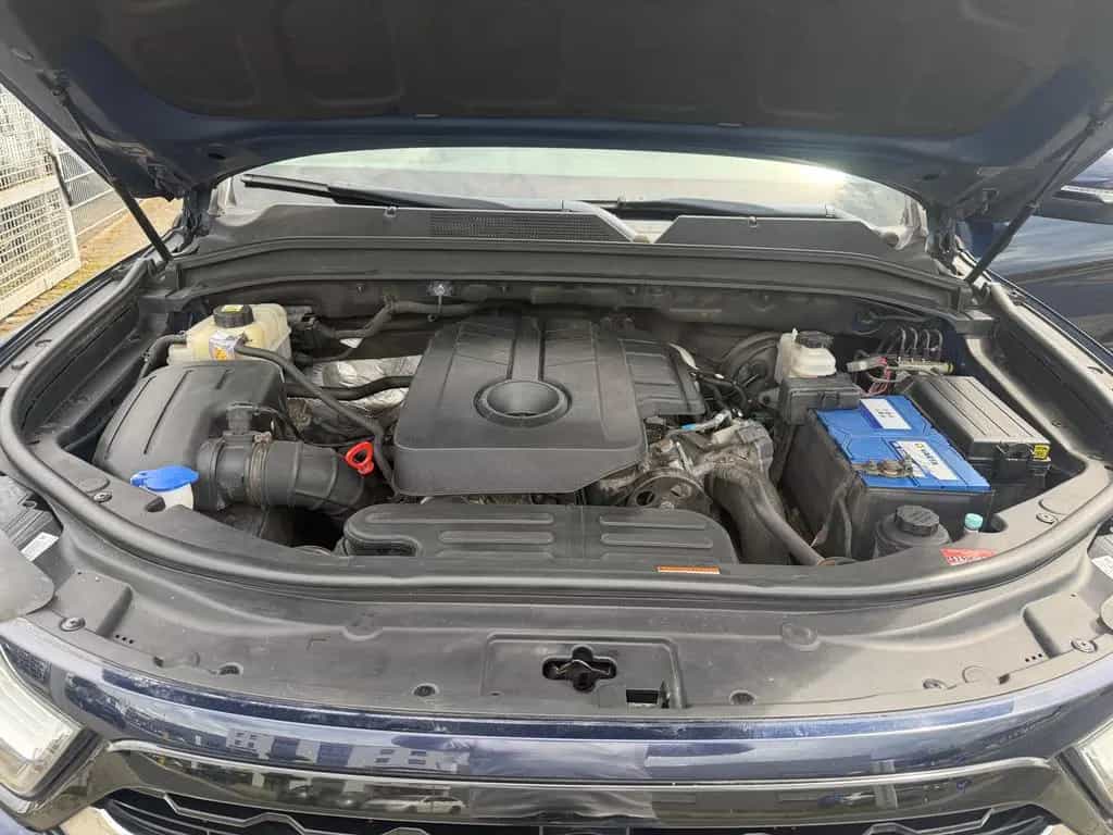 Ssangyong MUSSO Musso Sapphire 4WD 06/2018-photo-23