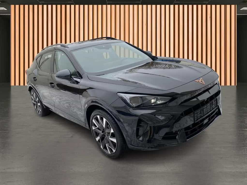 Cupra Formentor VZ 2.0 TSI DSG 4Drive*Matrix*Pano* 05/2025-photo-17