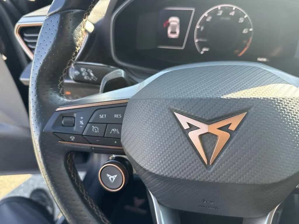 Cupra Formentor VZ 4Drive 2.0 TSI BEATS+PANO+ACC+LED 02/2022-photo-21
