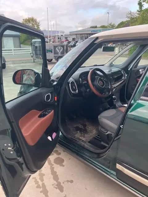 Fiat 500L Urban 1.4 T-JET 16V Urban Edition Urban... 04/2015-photo-4