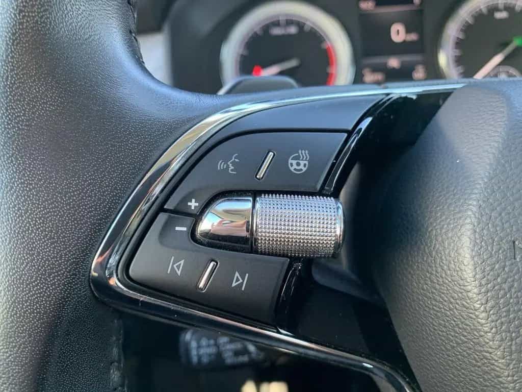 Skoda Kodiaq STYLE 4X4 2.0 TSI MATRIX-LED+STANDHEIZUNG 06/2022-photo-30