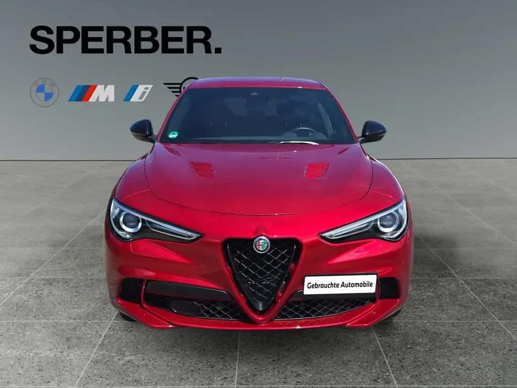 Alfa Romeo Stelvio Quadrifogli Quadrifoglio Q4* 07/2023-photo-7
