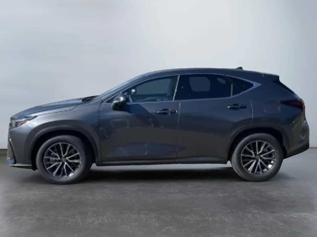 Lexus NX 450h + 2,5l Plug-in Executiv null-photo-1