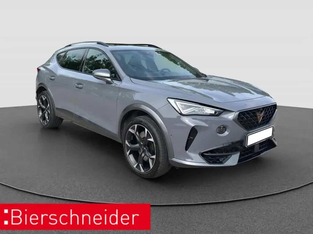 Cupra Formentor 2.0 TSI DSG 4Dr VZ AKRA AHK PANO 360 03/2024-photo-11