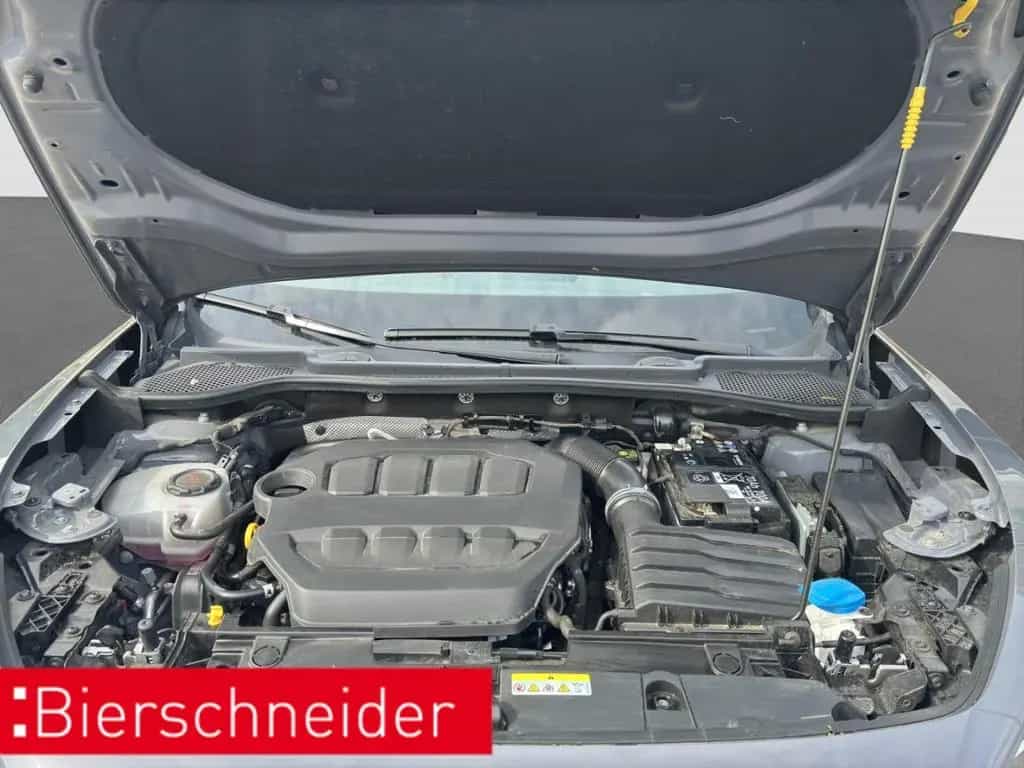 Cupra Formentor 2.0 TSI DSG 4Dr VZ AKRA AHK PANO 360 03/2024-photo-28