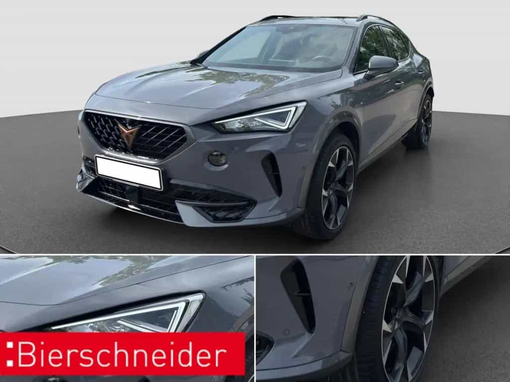 Cupra Formentor 2.0 TSI DSG 4Dr VZ AKRA AHK PANO 360 03/2024-photo-35