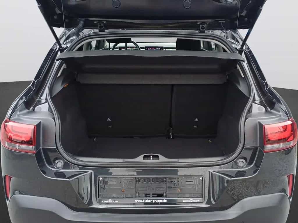Citroën C4 Cactus C4CACT SHINE  PT 110 06/2020-photo-7