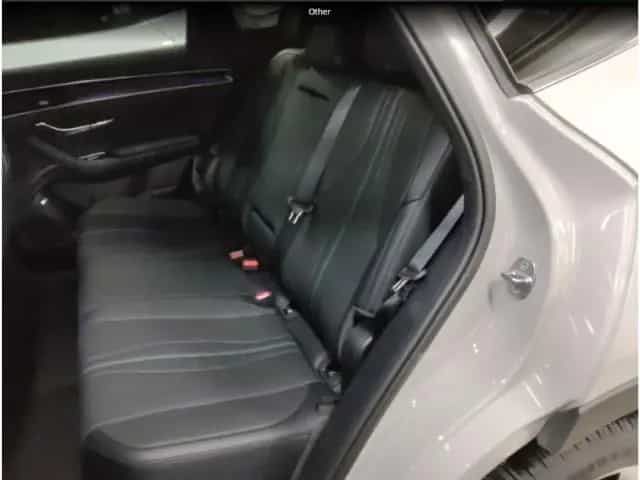 BYD SEAL U PHEV 1.5 Design+ HEAD-UP-Display+LED-Haup 04/2025-photo-17