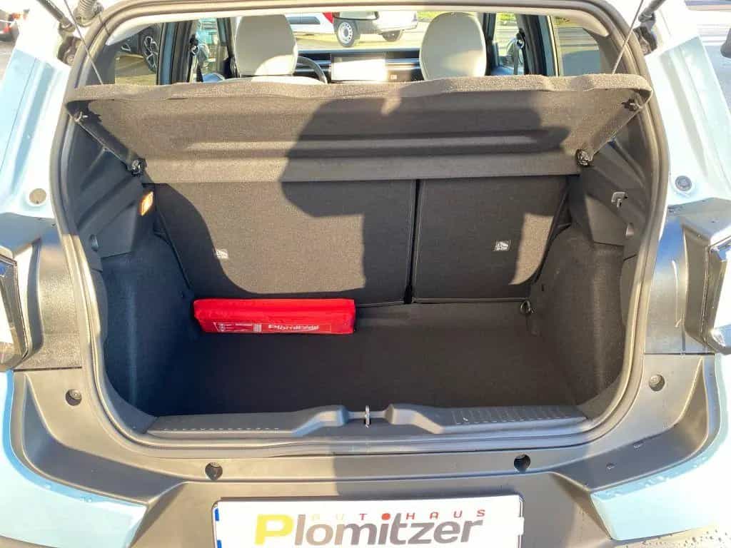 Citroën C3 Turbo 100 MAX *Winterpaket*Sicherheits-Paket* 10/2025-photo-9