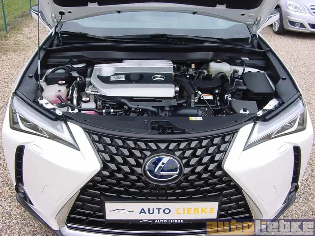 Lexus UX 250h HYBRID AUT,LED,NAVI,KAM,LR-/SHZ,1.HD,SH! 07/2019-photo-22