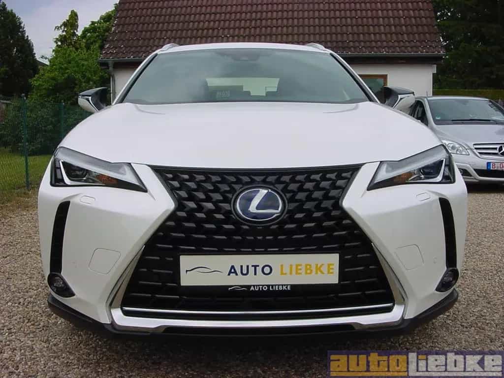 Lexus UX 250h HYBRID AUT,LED,NAVI,KAM,LR-/SHZ,1.HD,SH! 07/2019-photo-3