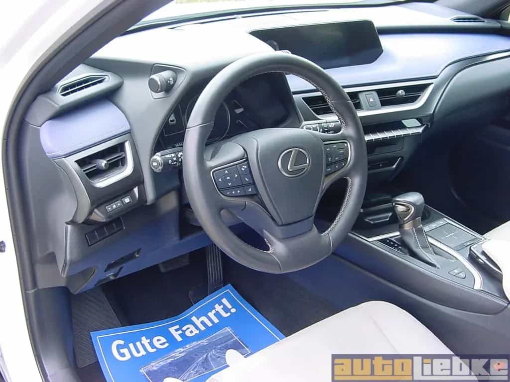 Lexus UX 250h HYBRID AUT,LED,NAVI,KAM,LR-/SHZ,1.HD,SH! 07/2019-photo-8