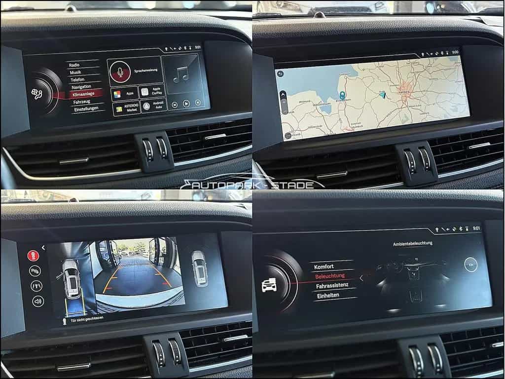 Borgward Other BX7 2.0 TS Limited Edition LED Pano Navi Kamera 08/2020-photo-14