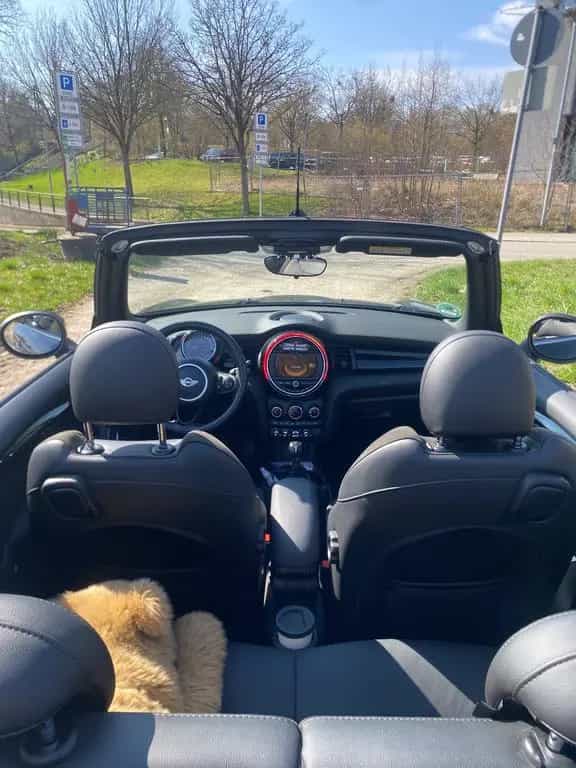 MINI Cooper S Cabrio Cooper S Chili 04/2016-photo-7