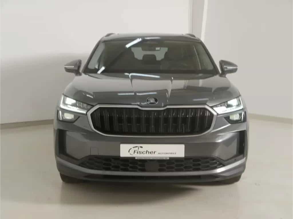 Skoda Kodiaq 2.0 TSI Selection DSG 7-Sitze/AHK/Pano 07/2025-photo-2