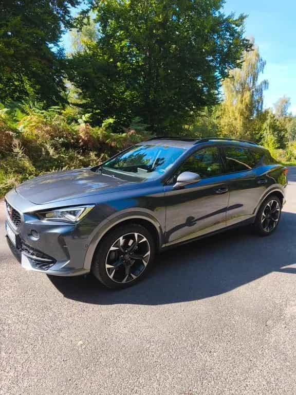 Cupra Formentor 2.0 TSI 228kW VZ 4Drive DSG VZ 12/2020-photo-0