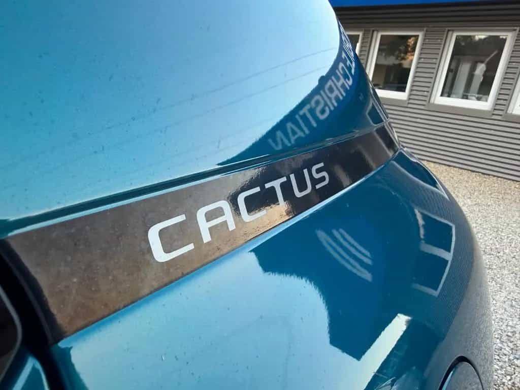 Citroën C4 Cactus Shine tolle~Farbe Pano Sitzheizung 05/2019-photo-16