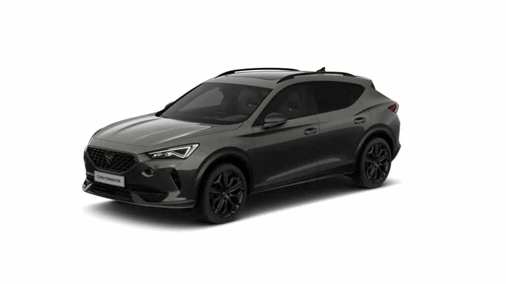 Cupra Formentor 2.0 TSI VZ Tribe Edition DSG *Navi*Pan 12/2023-photo-1
