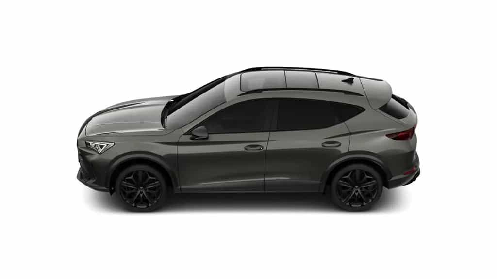 Cupra Formentor 2.0 TSI VZ Tribe Edition DSG *Navi*Pan 12/2023-photo-5