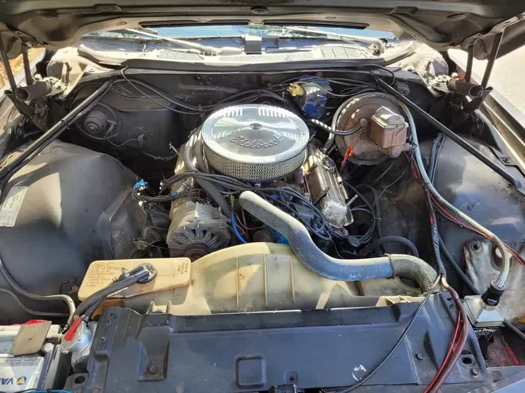 Buick Century 5.7 V8 1975 09/1975-photo-5