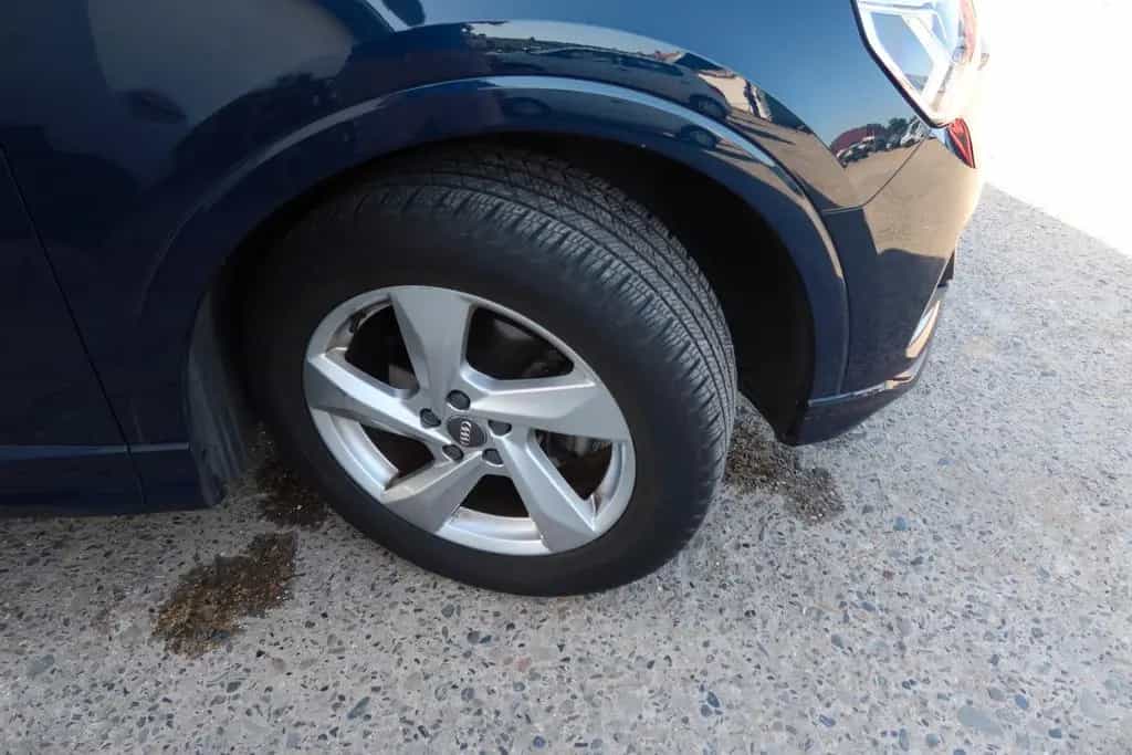Audi Q3 35 TFSI advanced|1.Hand|LED|Virtual|ACC|Lane| 06/2019-photo-23