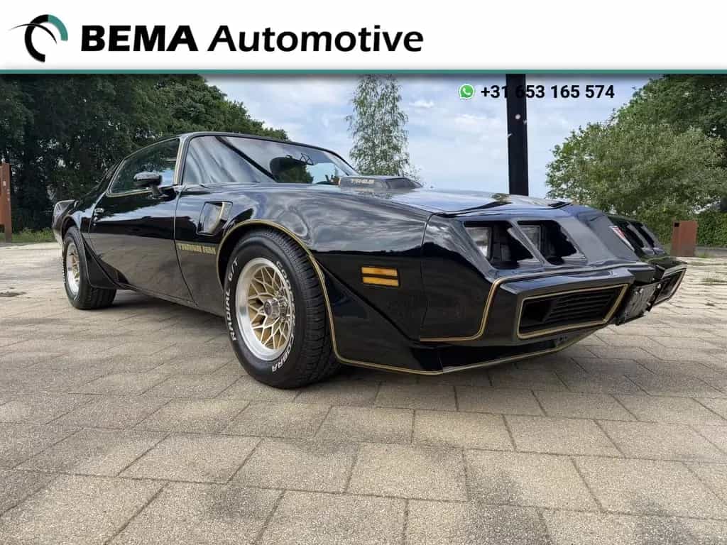 Pontiac Firebird 6.6 FW 87 Trans Am 01/1980-photo-0