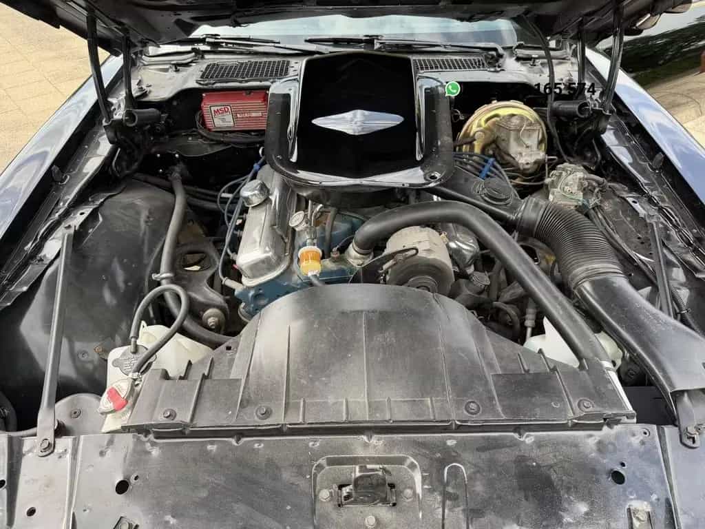 Pontiac Firebird 6.6 FW 87 Trans Am 01/1980-photo-11