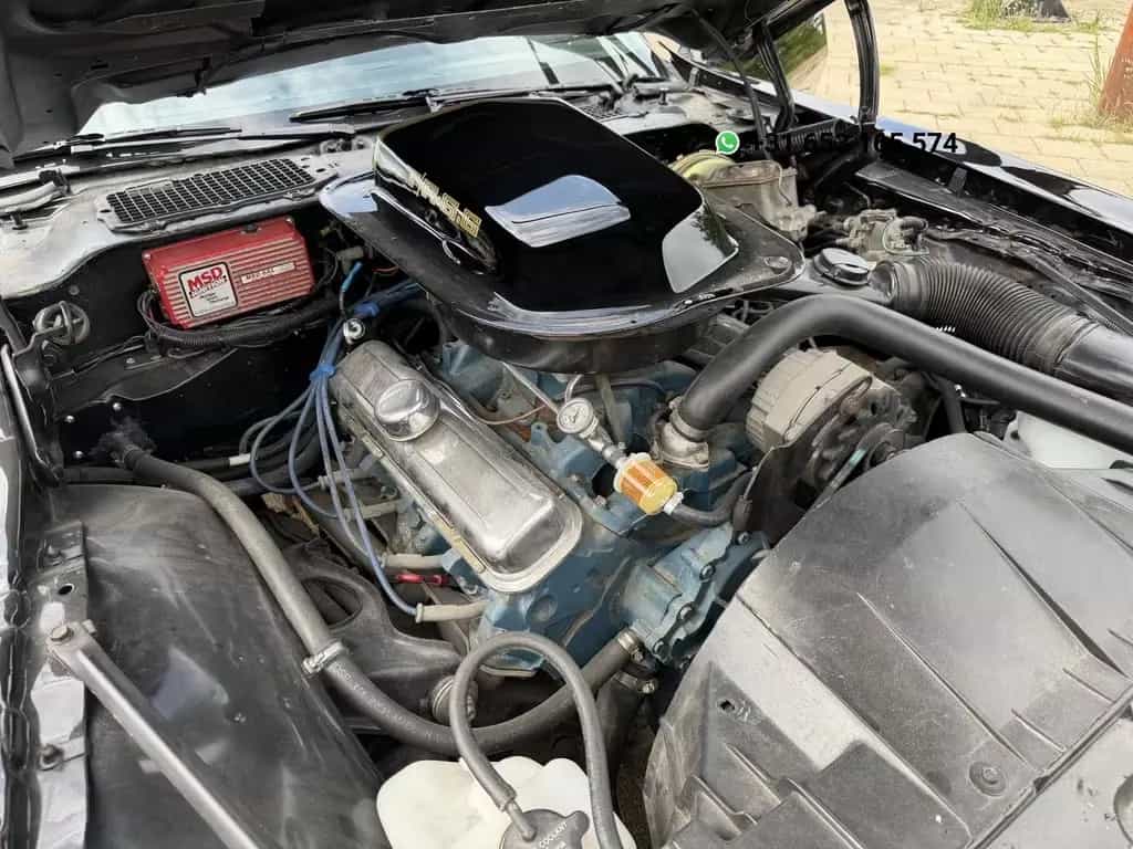 Pontiac Firebird 6.6 FW 87 Trans Am 01/1980-photo-14
